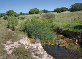Flowing spring Flowing spring