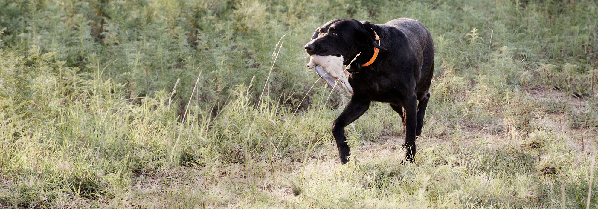 Recreational Property Loans